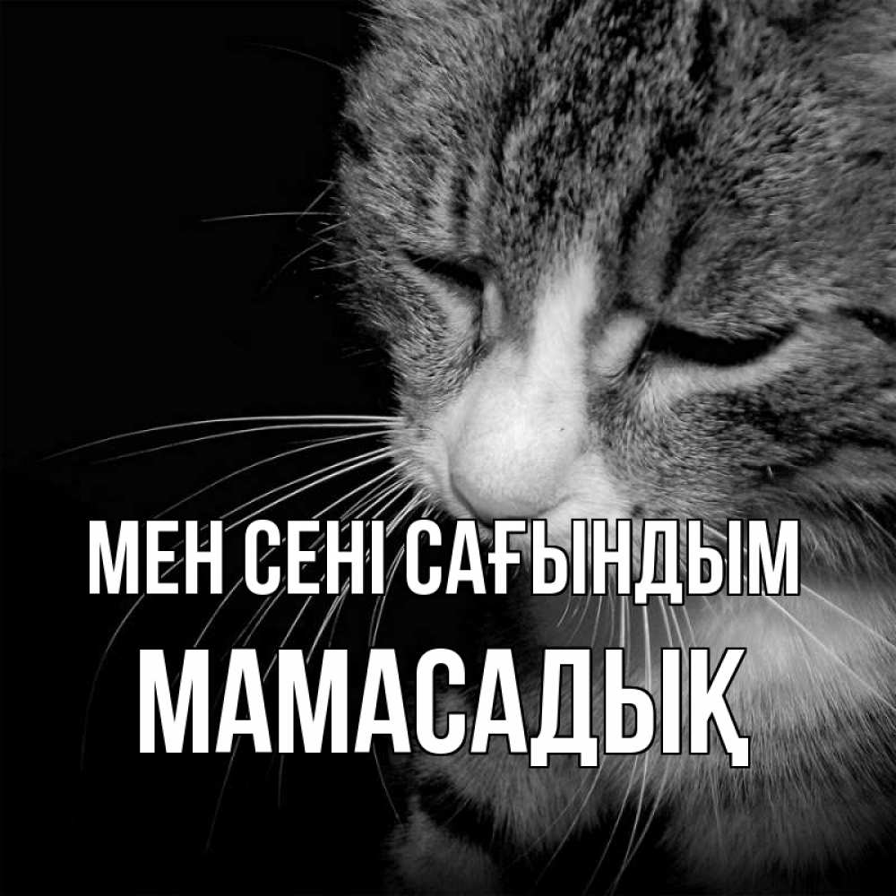 Күн сайын ашық хат с именем, МАМАСАДЫҚ Мен сені сағындым мне скучно Онлайн тегін жүктеп алу тілектері бар керемет карта 