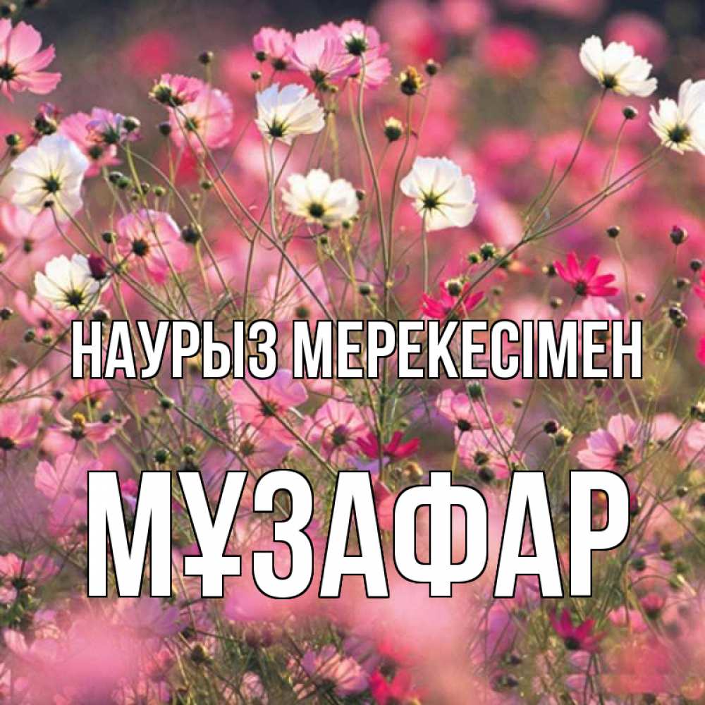 Күн сайын ашық хат с именем, МҰЗАФАР Наурыз мерекесімен красиво 1 Онлайн тегін жүктеп алу тілектері бар керемет карта 