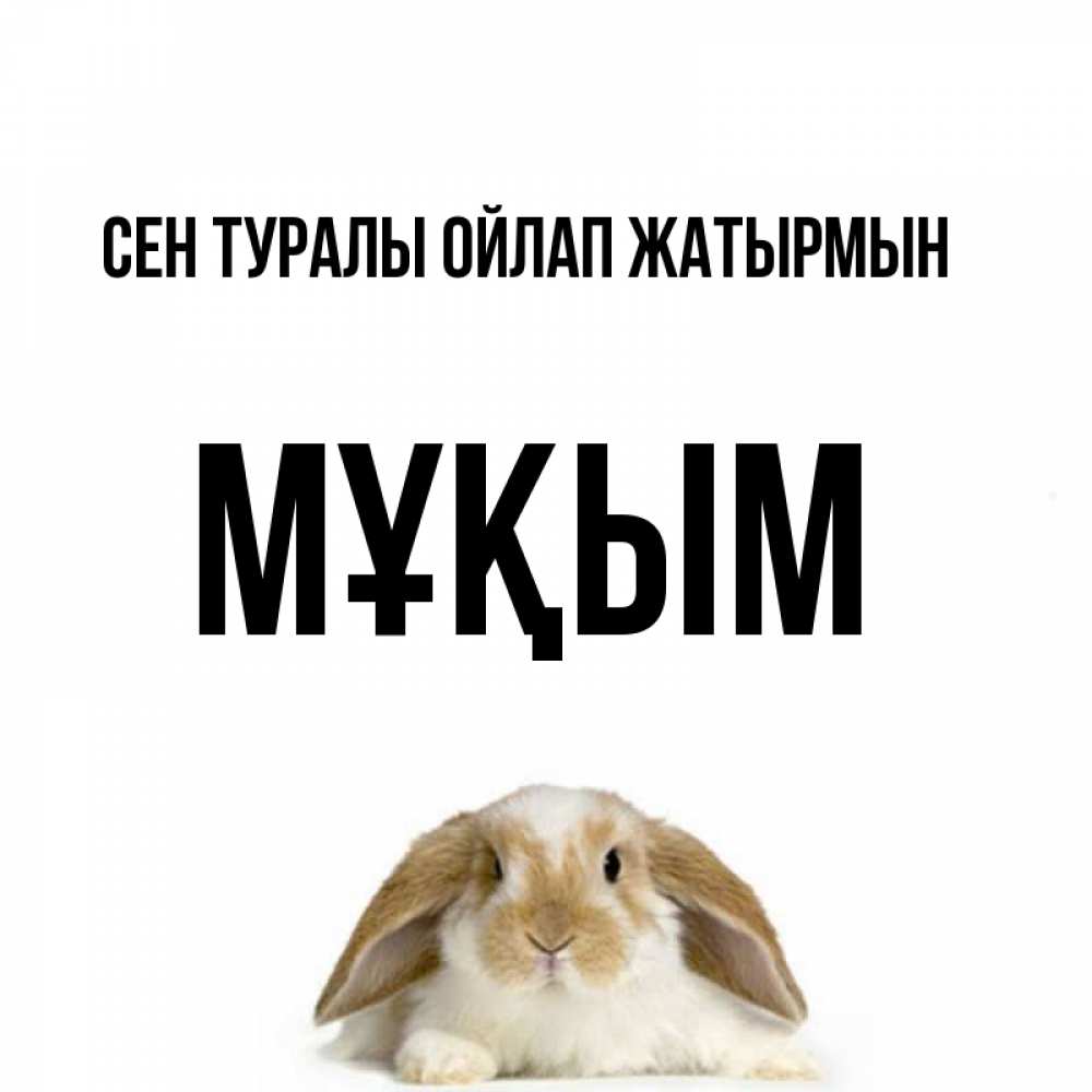 Күн сайын ашық хат с именем, МҰҚЫМ Сен туралы ойлап жатырмын подписать своими руками онлайн Онлайн тегін жүктеп алу тілектері бар керемет карта 