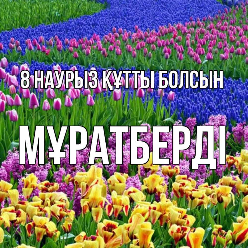 Күн сайын ашық хат с именем, Мұратберді 8 наурыз құтты болсын цветы Онлайн тегін жүктеп алу тілектері бар керемет карта 