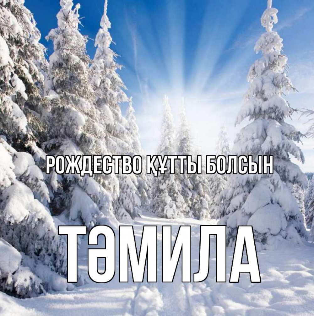 Күн сайын ашық хат с именем, ТӘМИЛА Рождество құтты болсын зима, лес Онлайн тегін жүктеп алу тілектері бар керемет карта 