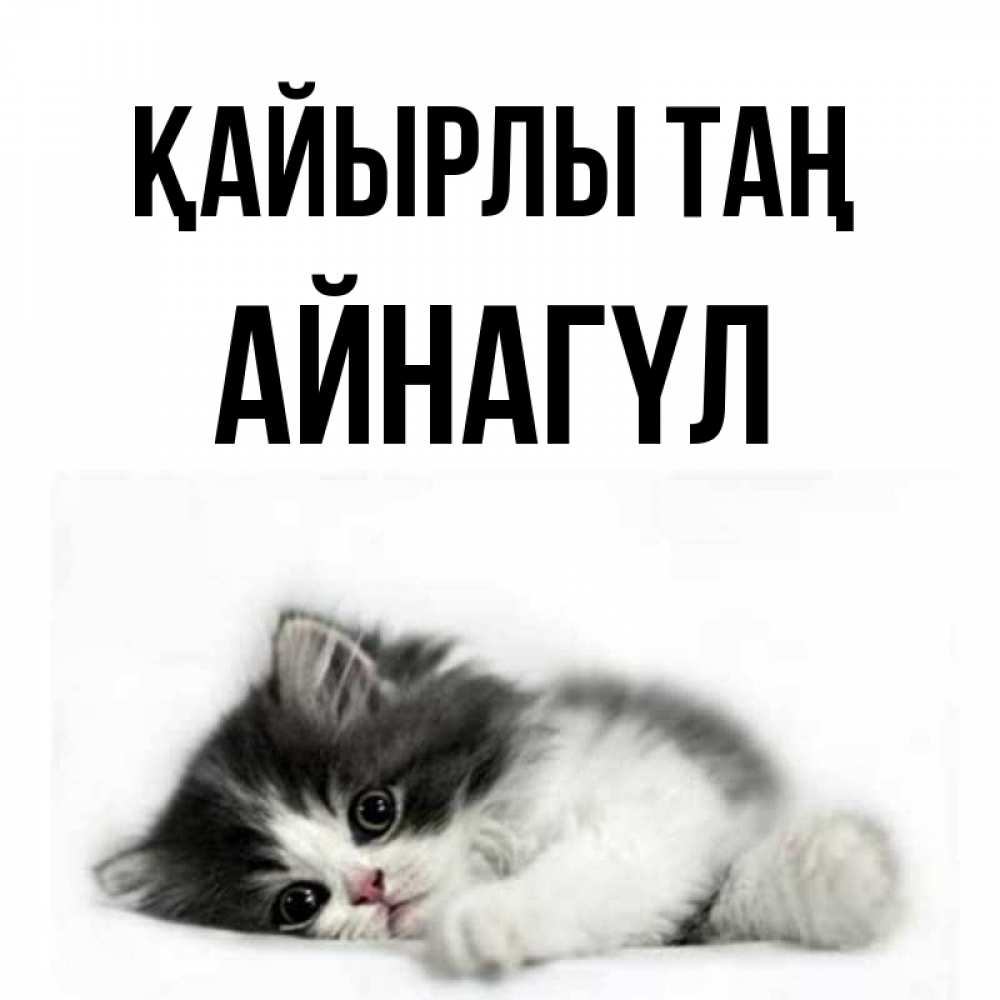 Күн сайын ашық хат с именем, АЙНАГҮЛ Қайырлы таң кот лапки Онлайн тегін жүктеп алу тілектері бар керемет карта 