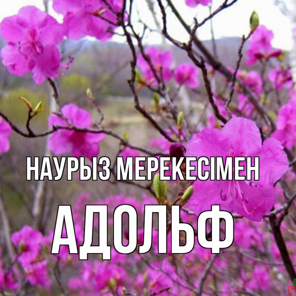 Күн сайын ашық хат с именем, Адольф Наурыз мерекесімен праздник весны наурыз Онлайн тегін жүктеп алу тілектері бар керемет карта 