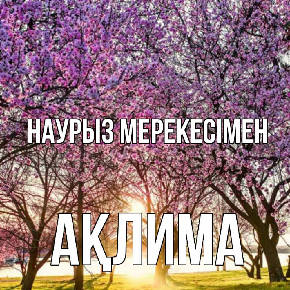 Күн сайын ашық хат с именем, АҚЛИМА Наурыз мерекесімен праздник весны наурыз Онлайн тегін жүктеп алу тілектері бар керемет карта 