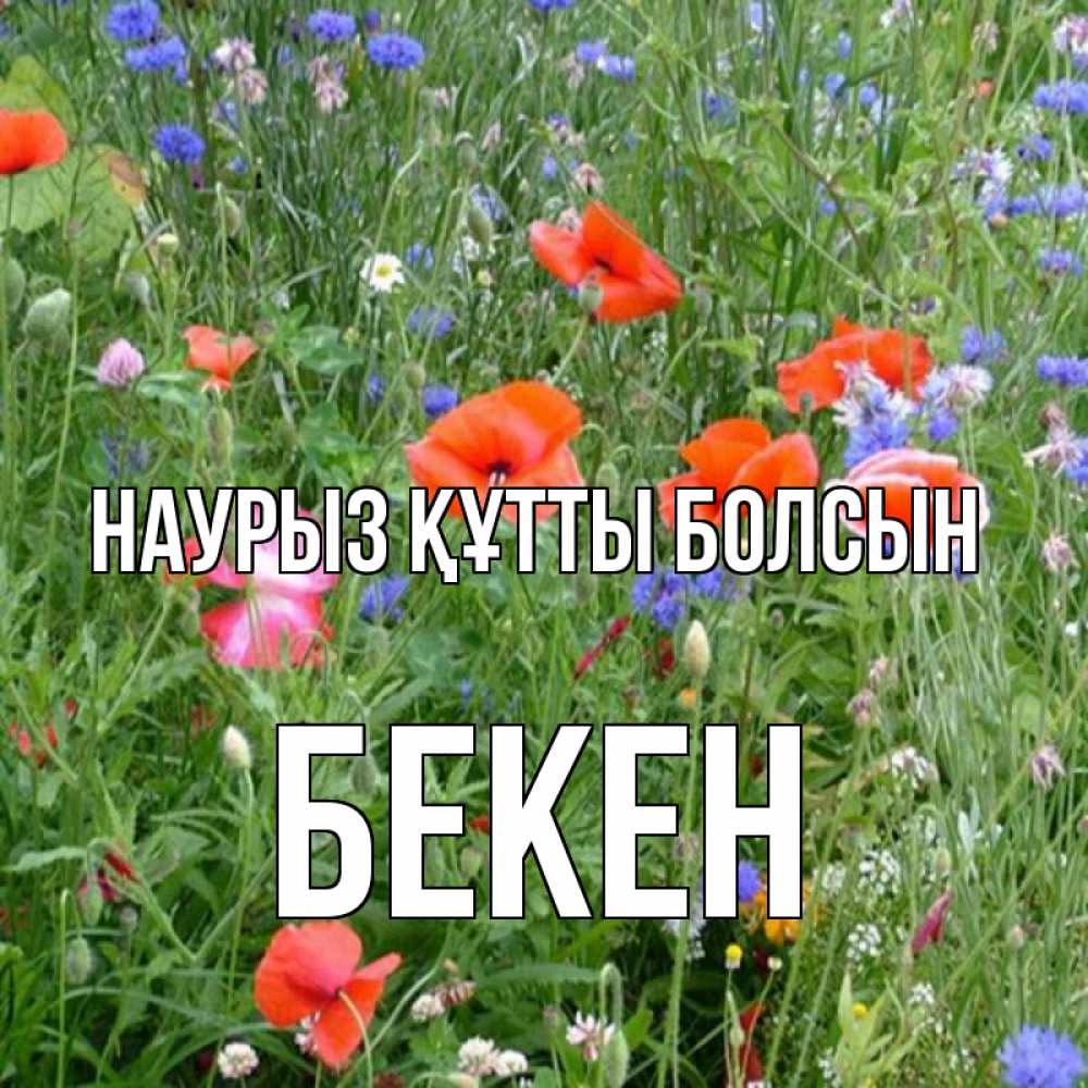 Күн сайын ашық хат с именем, Бекен Наурыз құтты болсын наурыз  4 Онлайн тегін жүктеп алу тілектері бар керемет карта 