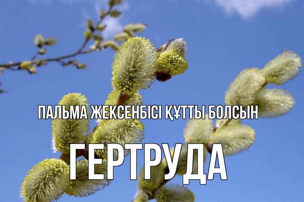 Күн сайын ашық хат с именем, Гертруда Пальма жексенбісі құтты болсын верба Онлайн тегін жүктеп алу тілектері бар керемет карта 
