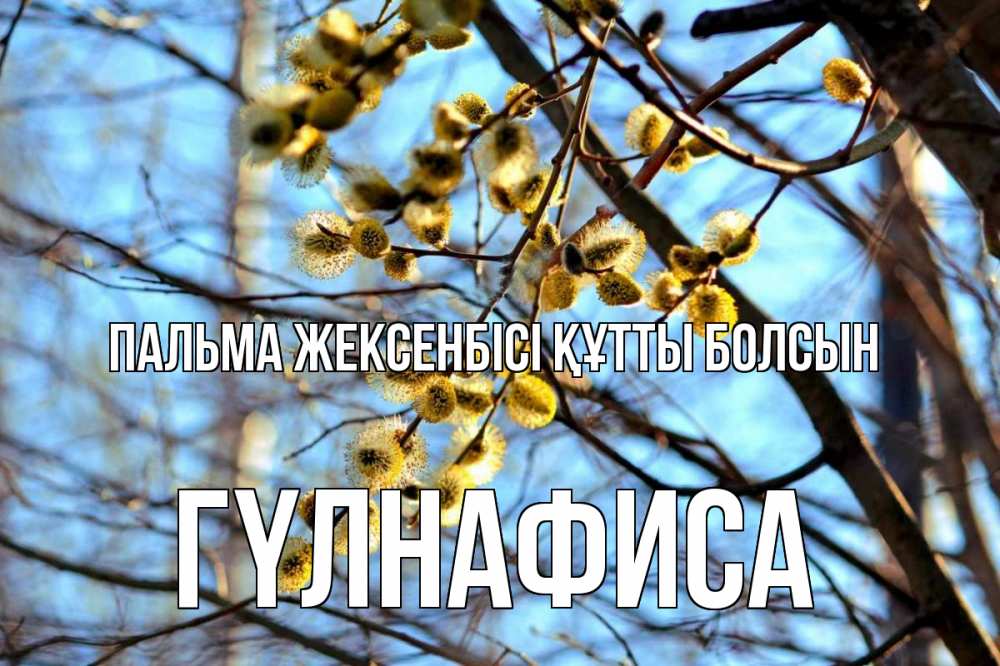 Күн сайын ашық хат с именем, ГҮЛНАФИСА Пальма жексенбісі құтты болсын верба Онлайн тегін жүктеп алу тілектері бар керемет карта 