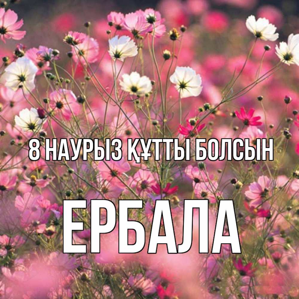 Күн сайын ашық хат с именем, Ербала 8 наурыз құтты болсын красиво 1 Онлайн тегін жүктеп алу тілектері бар керемет карта 