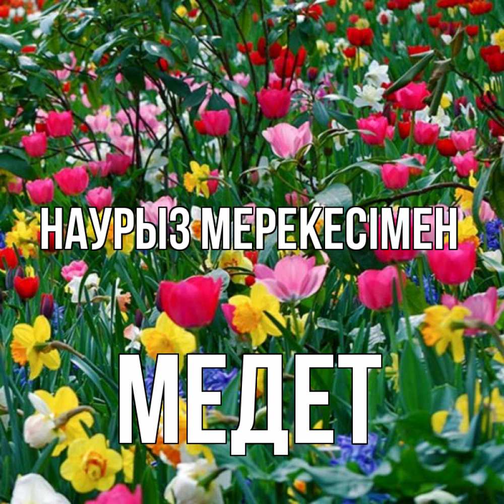 Күн сайын ашық хат с именем, МЕДЕТ Наурыз мерекесімен с наурызом праздником весны поздравления для женщины Онлайн тегін жүктеп алу тілектері бар керемет карта 