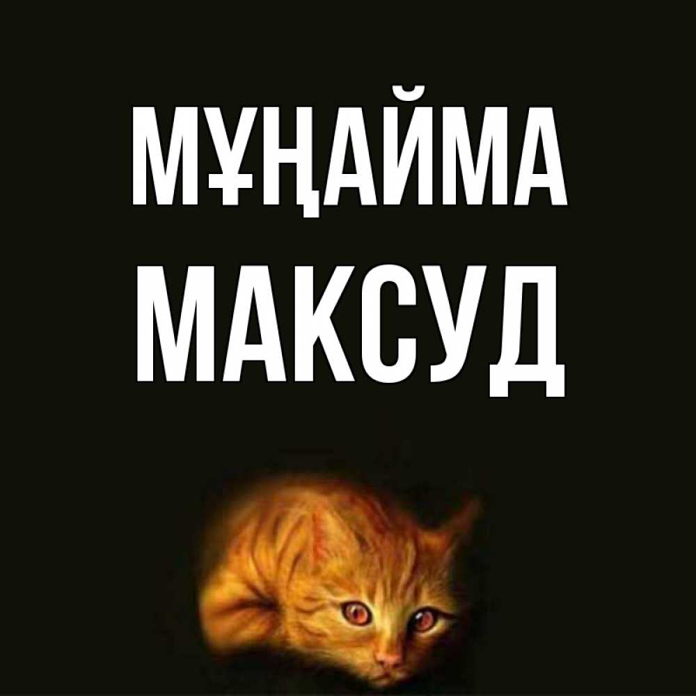 Күн сайын ашық хат с именем, Максуд Мұңайма лежащий кот в темноте Онлайн тегін жүктеп алу тілектері бар керемет карта 