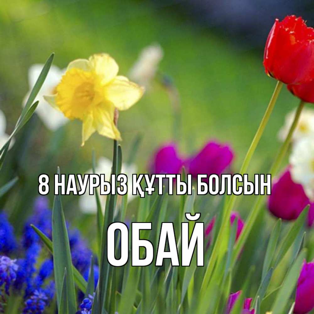Күн сайын ашық хат с именем, ОБАЙ 8 наурыз құтты болсын международный женский день 3 Онлайн тегін жүктеп алу тілектері бар керемет карта 