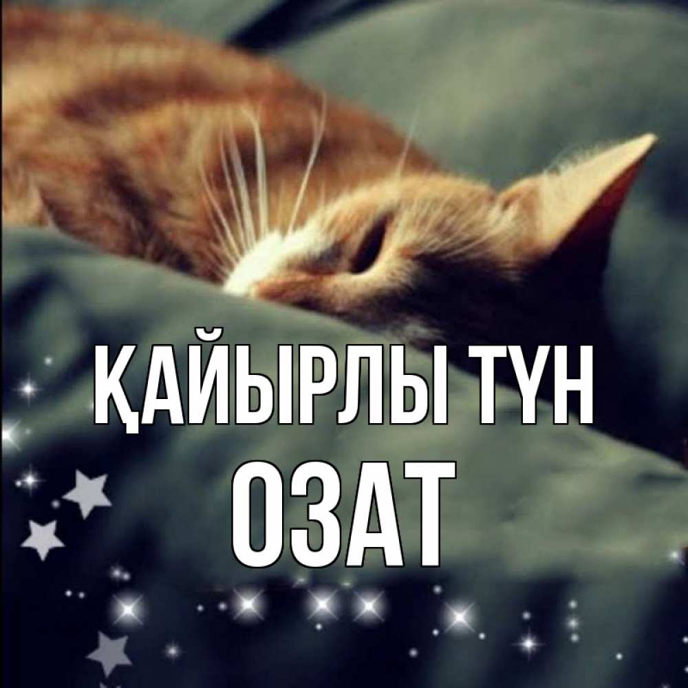 Күн сайын ашық хат с именем, ОЗАТ Қайырлы түн кроватка Онлайн тегін жүктеп алу тілектері бар керемет карта 