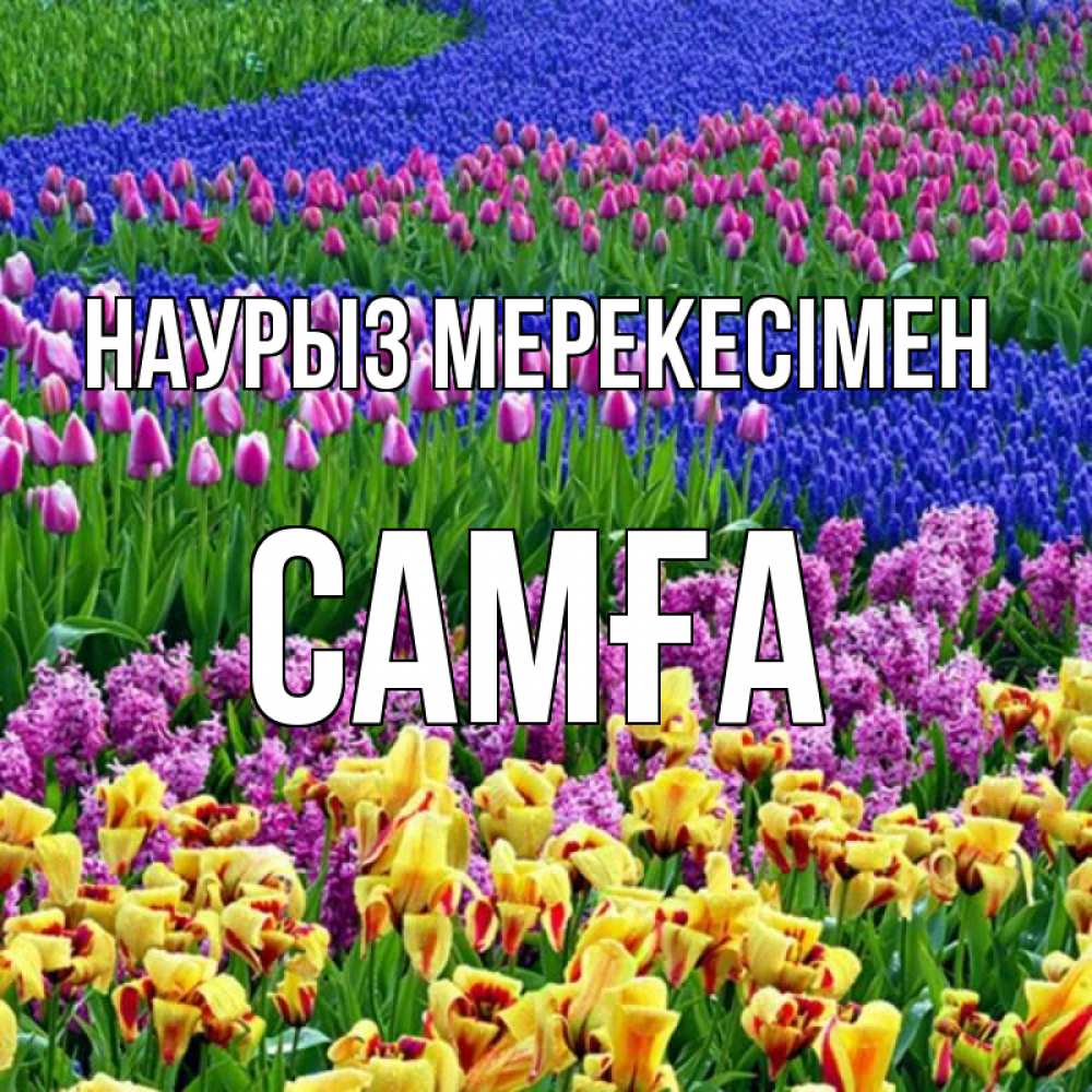 Күн сайын ашық хат с именем, САМҒА Наурыз мерекесімен цветы Онлайн тегін жүктеп алу тілектері бар керемет карта 