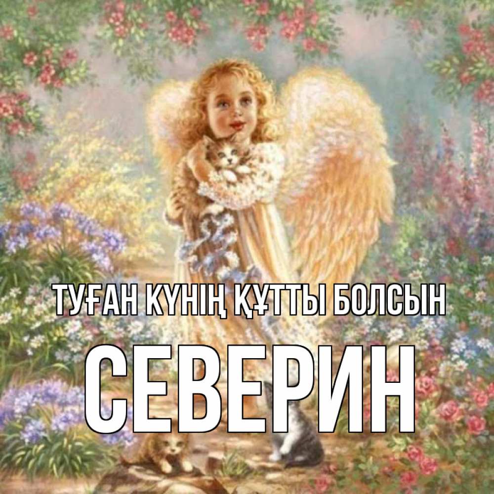 Күн сайын ашық хат с именем, Северин Туған күнің құтты болсын держит котенка Онлайн тегін жүктеп алу тілектері бар керемет карта 