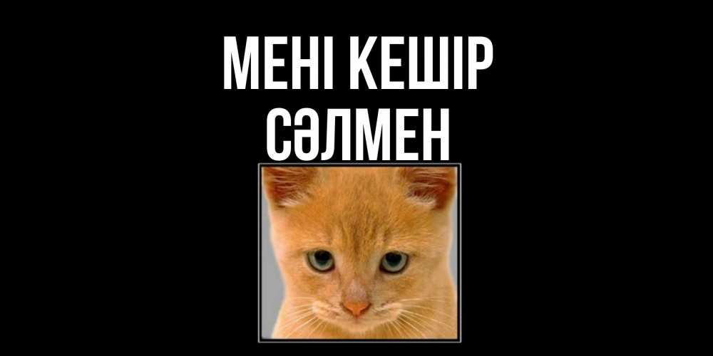 Күн сайын ашық хат с именем, СӘЛМЕН Мені кешір рыжий грустный кот просит прощения Онлайн тегін жүктеп алу тілектері бар керемет карта 