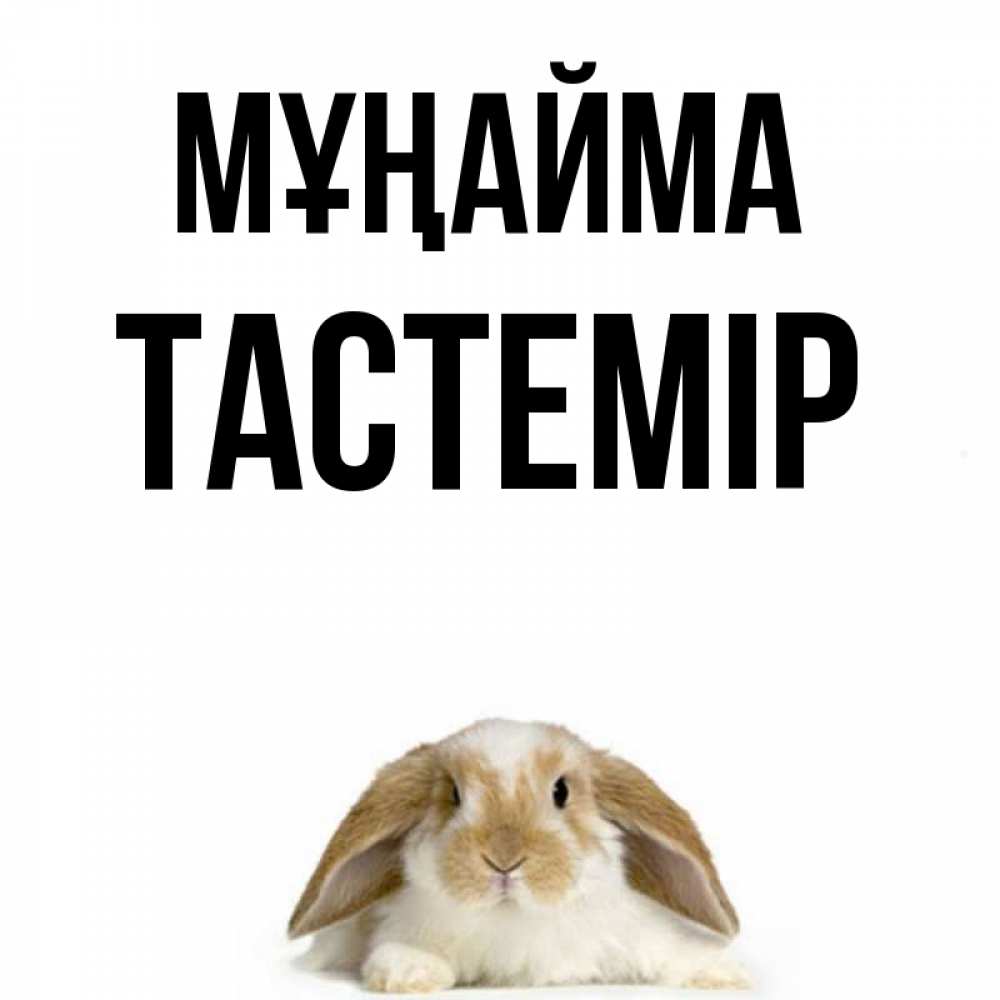 Күн сайын ашық хат с именем, ТАСТЕМІР Мұңайма коричнево белый заяц с большими ушками Онлайн тегін жүктеп алу тілектері бар керемет карта 