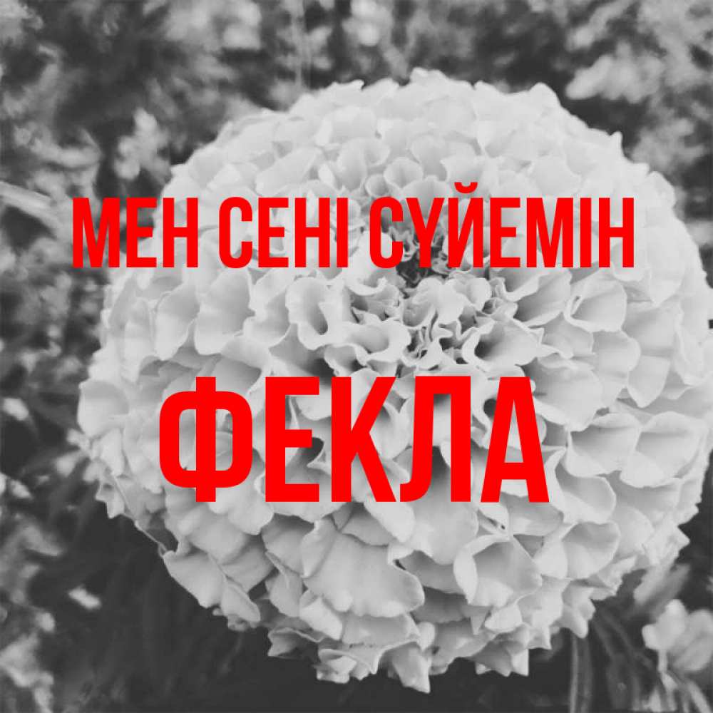 Күн сайын ашық хат с именем, Фекла Мен сені сүйемін подпись Онлайн тегін жүктеп алу тілектері бар керемет карта 