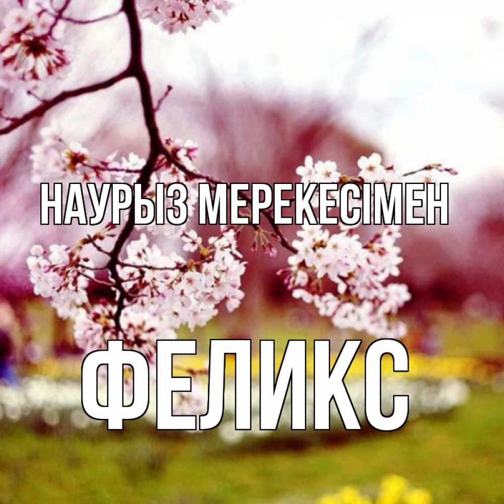 Күн сайын ашық хат с именем, Феликс Наурыз мерекесімен яблоня Онлайн тегін жүктеп алу тілектері бар керемет карта 