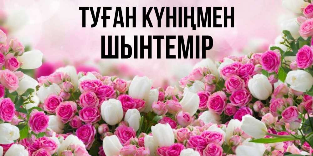 Күн сайын ашық хат с именем, ШЫНТЕМІР Туған күніңмен открытка с разными розами Онлайн тегін жүктеп алу тілектері бар керемет карта 