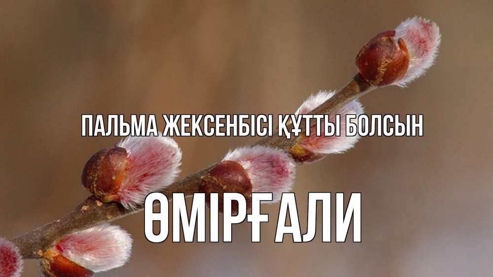 Күн сайын ашық хат с именем, ӨМІРҒАЛИ Пальма жексенбісі құтты болсын верба Онлайн тегін жүктеп алу тілектері бар керемет карта 