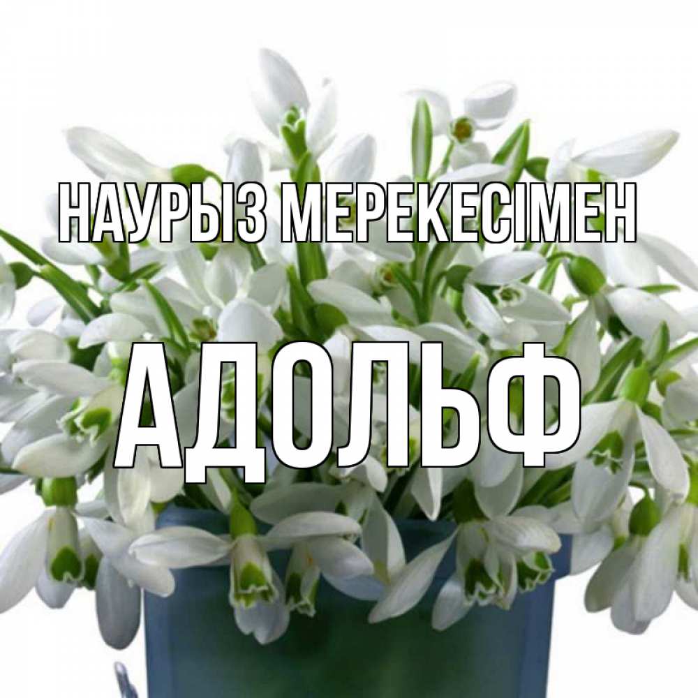 Күн сайын ашық хат с именем, Адольф Наурыз мерекесімен цветы к наурызу новый год в Казахстане Онлайн тегін жүктеп алу тілектері бар керемет карта 