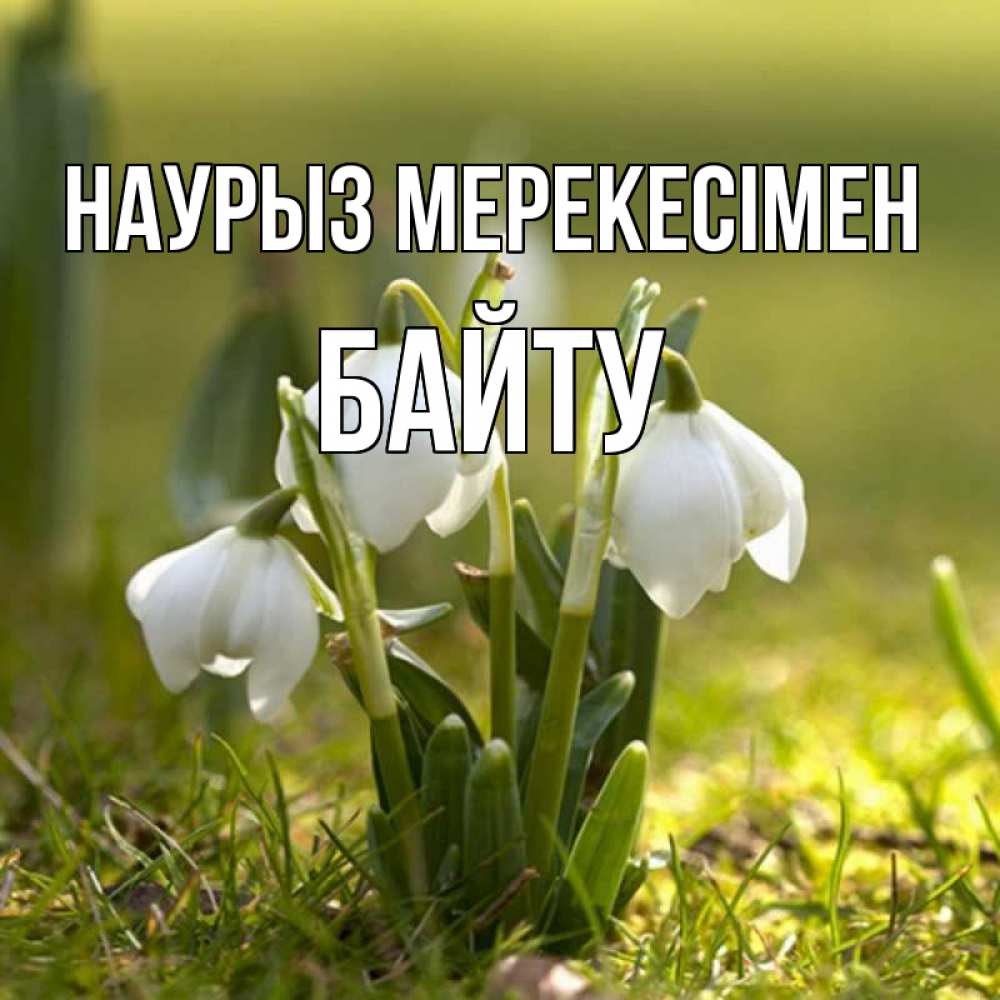 Күн сайын ашық хат с именем, Байту Наурыз мерекесімен ранние цветы 2 Онлайн тегін жүктеп алу тілектері бар керемет карта 