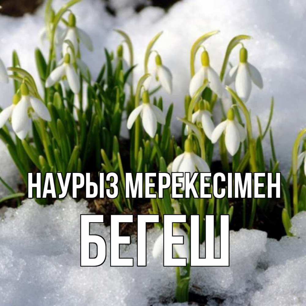 Күн сайын ашық хат с именем, Бегеш Наурыз мерекесімен цветы весенние Онлайн тегін жүктеп алу тілектері бар керемет карта 