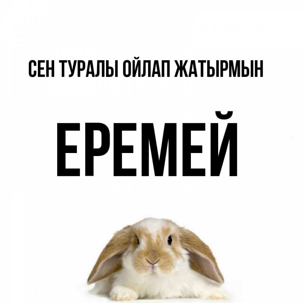 Күн сайын ашық хат с именем, Еремей Сен туралы ойлап жатырмын подписать своими руками онлайн Онлайн тегін жүктеп алу тілектері бар керемет карта 