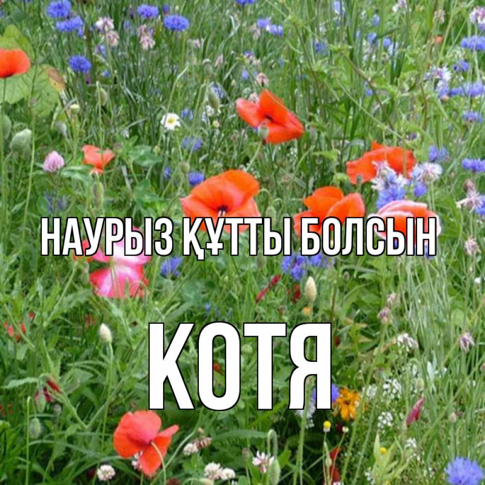 Күн сайын ашық хат с именем, Котя Наурыз құтты болсын наурыз  4 Онлайн тегін жүктеп алу тілектері бар керемет карта 