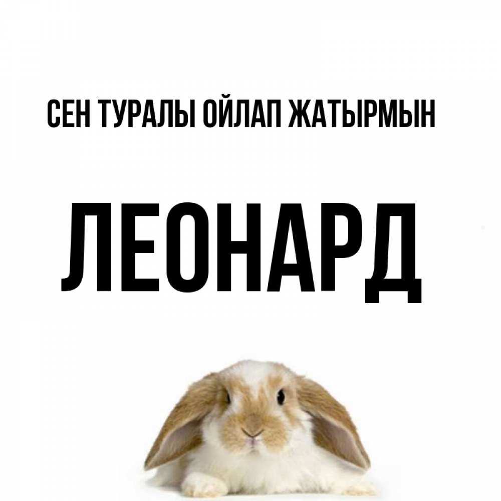 Күн сайын ашық хат с именем, Леонард Сен туралы ойлап жатырмын подписать своими руками онлайн Онлайн тегін жүктеп алу тілектері бар керемет карта 