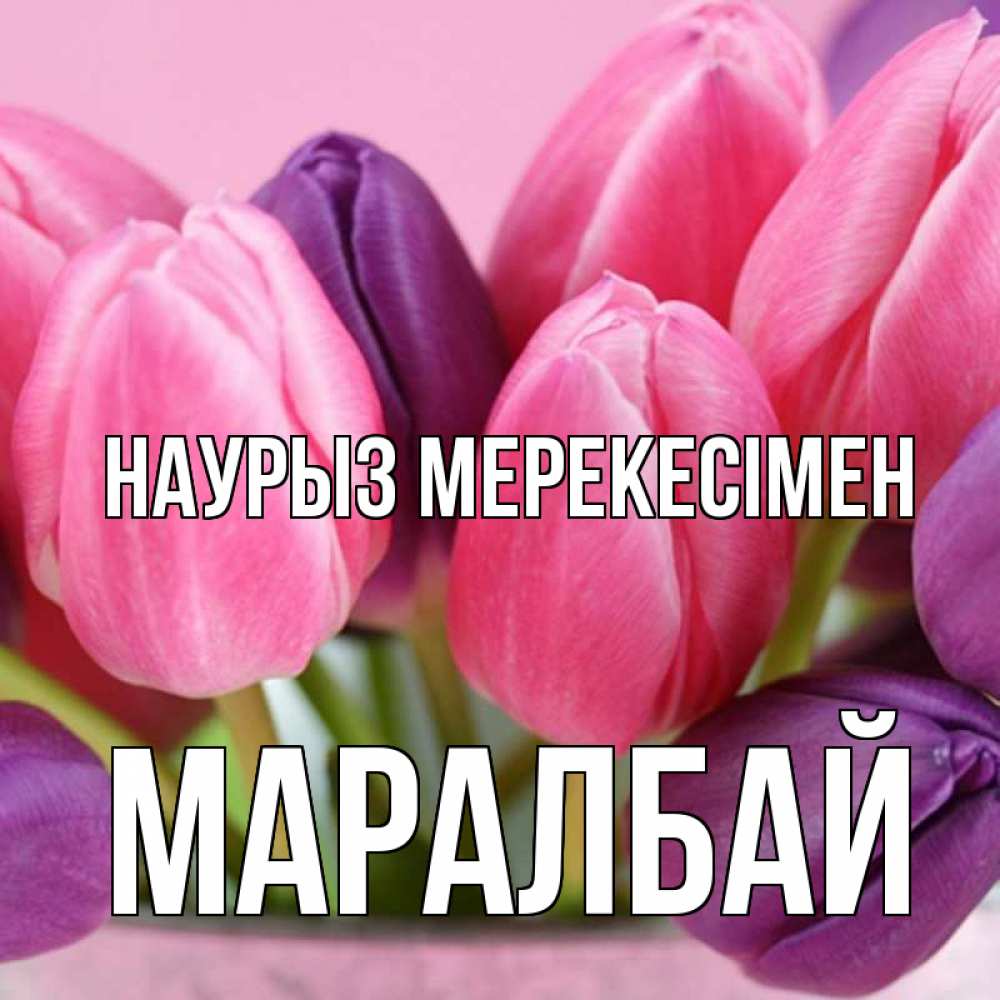 Күн сайын ашық хат с именем, МАРАЛБАЙ Наурыз мерекесімен маме 1 Онлайн тегін жүктеп алу тілектері бар керемет карта 