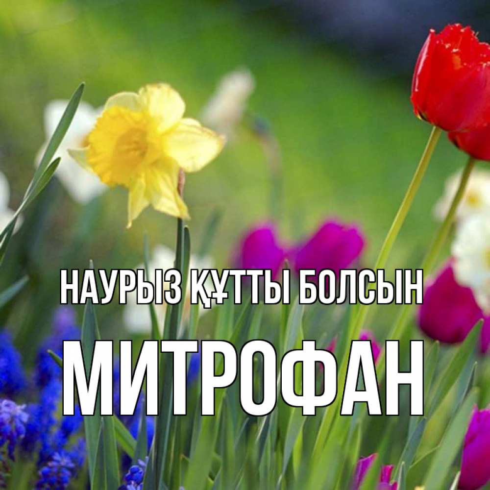 Күн сайын ашық хат с именем, Митрофан Наурыз құтты болсын наурыз  3 открытки Онлайн тегін жүктеп алу тілектері бар керемет карта 