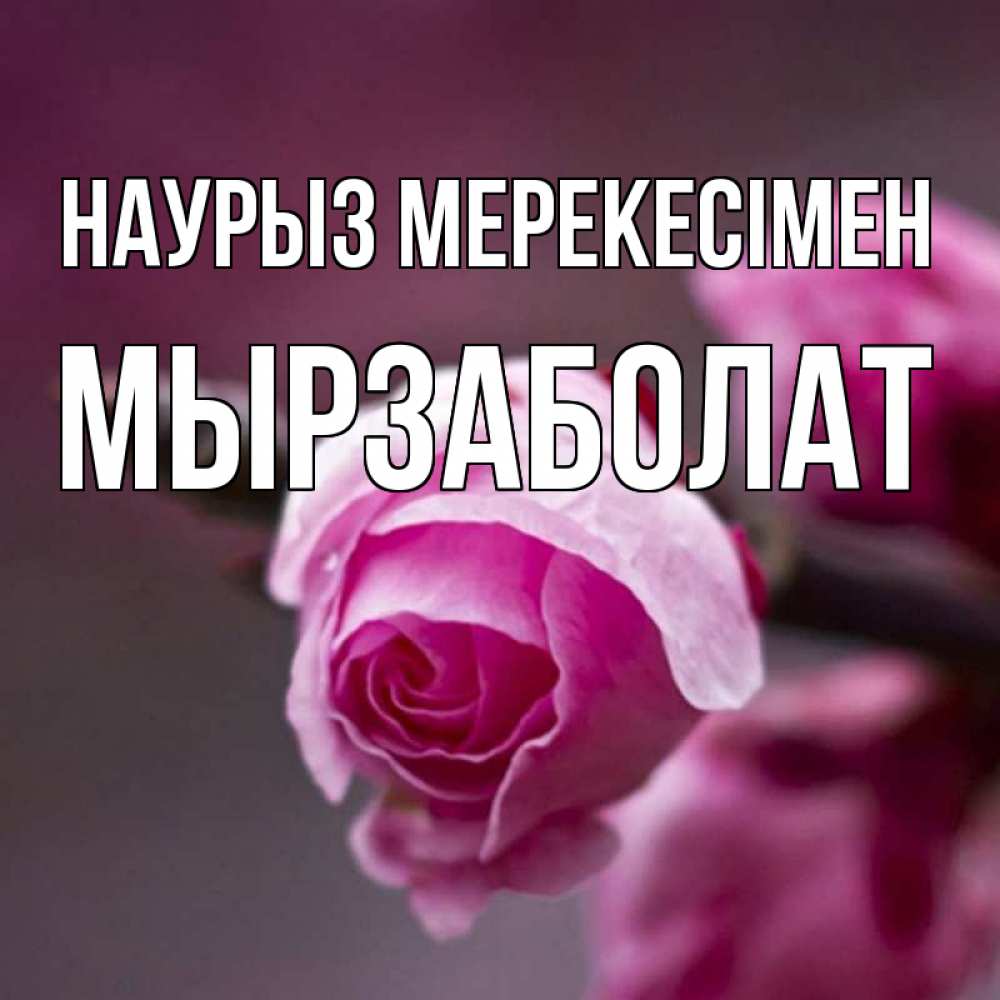 Күн сайын ашық хат с именем, Мырзаболат Наурыз мерекесімен весна Онлайн тегін жүктеп алу тілектері бар керемет карта 