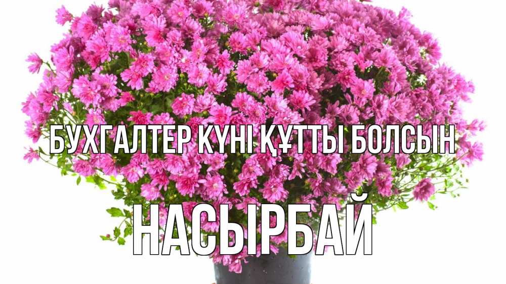 Күн сайын ашық хат с именем, Насырбай бухгалтер күні құтты болсын с днем бухгалтера Онлайн тегін жүктеп алу тілектері бар керемет карта 