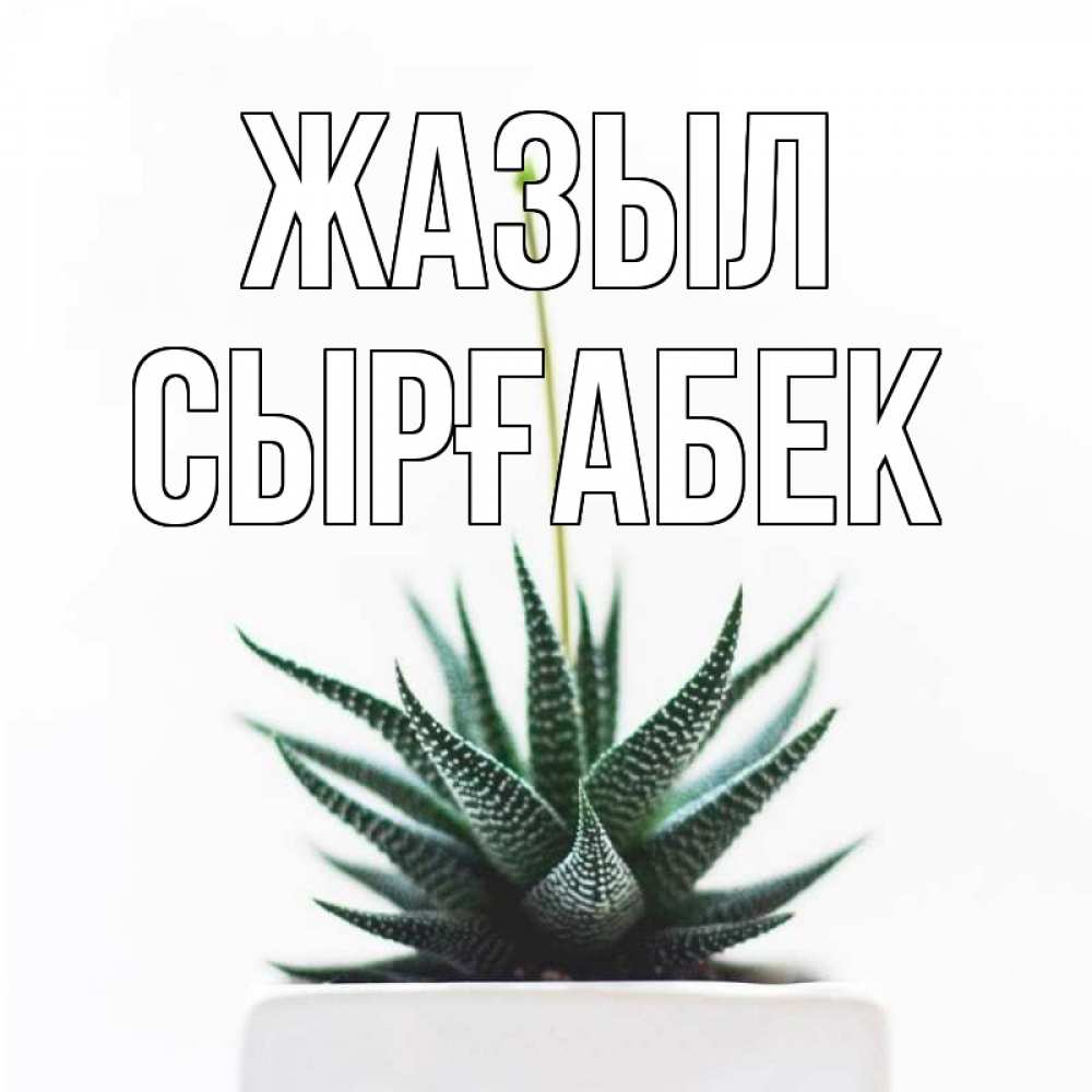 Күн сайын ашық хат с именем, СЫРҒАБЕК Жазыл короче это непонятная колючка Онлайн тегін жүктеп алу тілектері бар керемет карта 