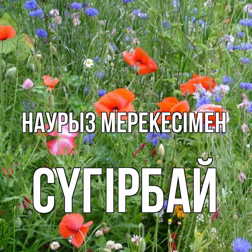 Күн сайын ашық хат с именем, СҮГІРБАЙ Наурыз мерекесімен праздник весны наурыз супер открытка Онлайн тегін жүктеп алу тілектері бар керемет карта 