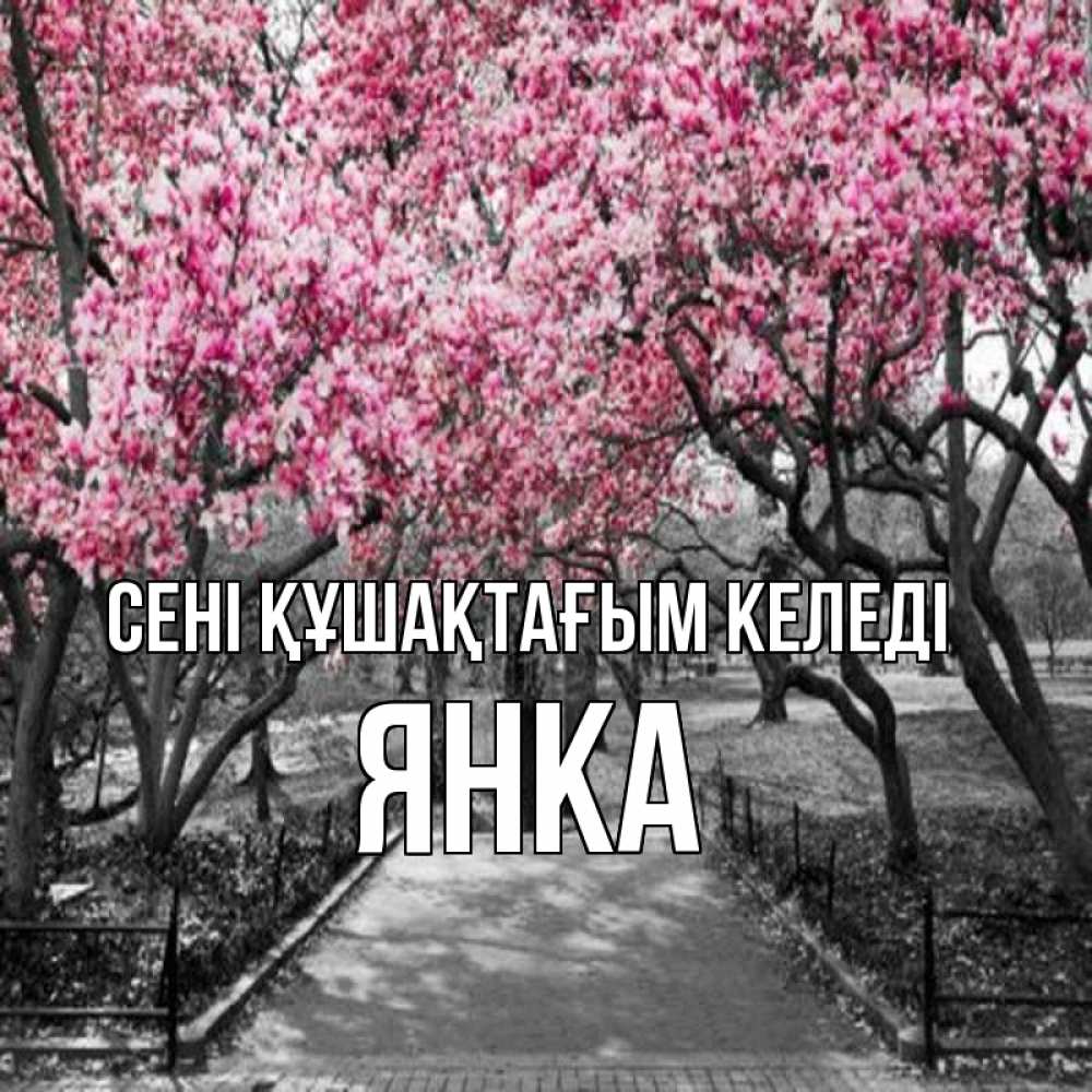 Күн сайын ашық хат с именем, Янка сені құшақтағым келеді обработанное фото Онлайн тегін жүктеп алу тілектері бар керемет карта 