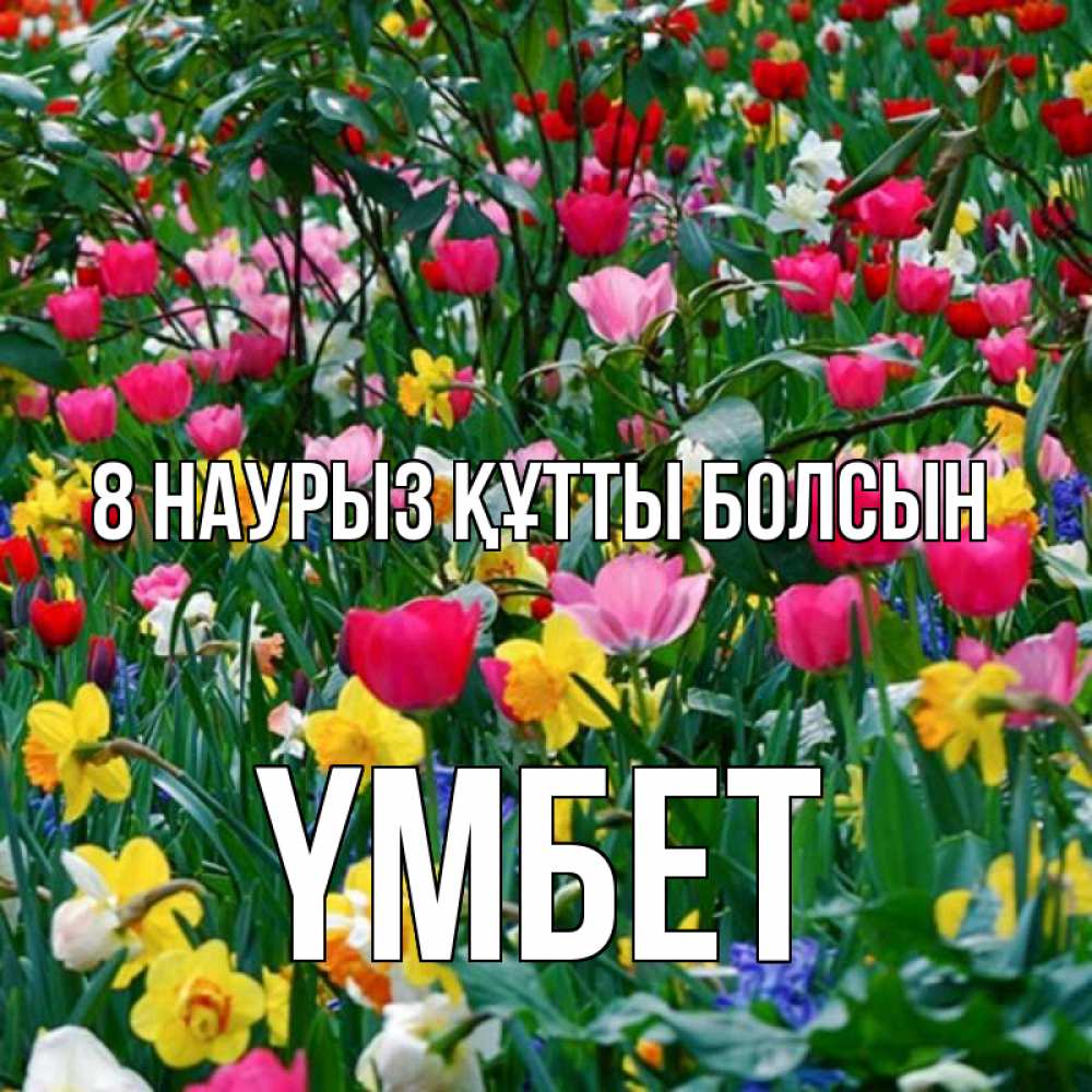 Күн сайын ашық хат с именем, ҮМБЕТ 8 наурыз құтты болсын с международным женским днем поздравления для женщины Онлайн тегін жүктеп алу тілектері бар керемет карта 