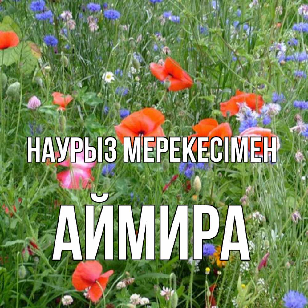 Күн сайын ашық хат с именем, АЙМИРА Наурыз мерекесімен праздник весны наурыз супер открытка Онлайн тегін жүктеп алу тілектері бар керемет карта 