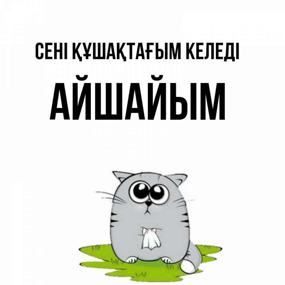 Күн сайын ашық хат с именем, АЙШАЙЫМ сені құшақтағым келеді котик теребит платочек сидя на травке Онлайн тегін жүктеп алу тілектері бар керемет карта 