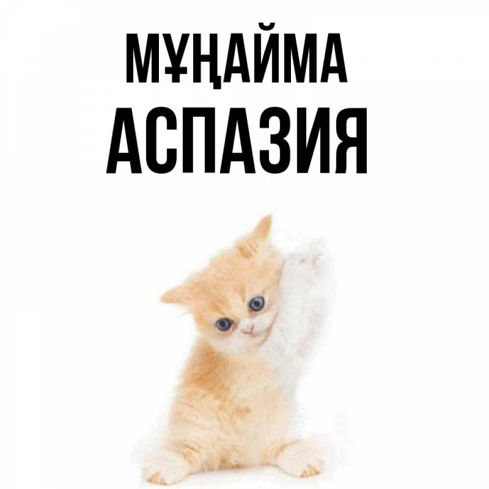 Күн сайын ашық хат с именем, АСПАЗИЯ Мұңайма просящий кот Онлайн тегін жүктеп алу тілектері бар керемет карта 