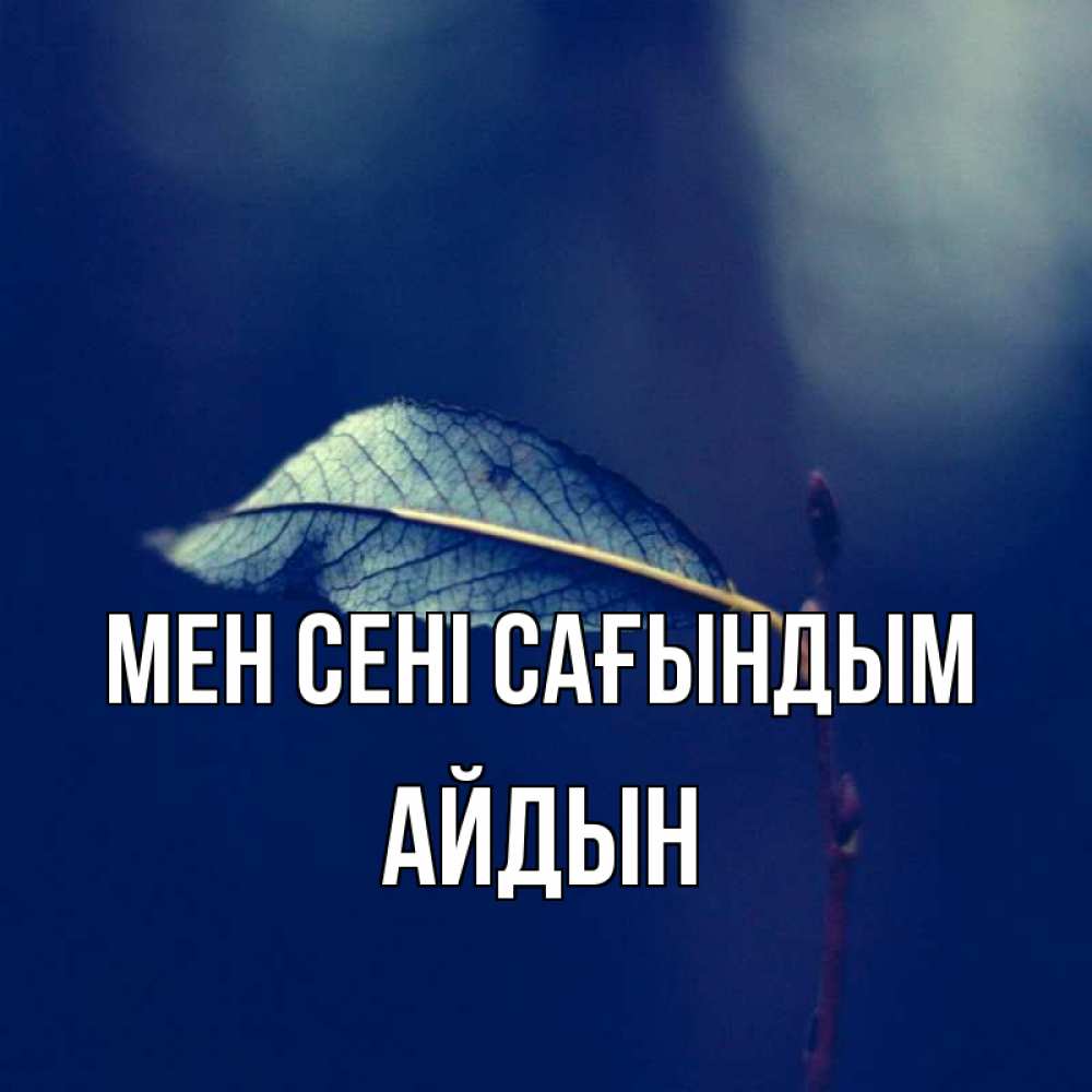 Күн сайын ашық хат с именем, Айдын Мен сені сағындым одна ветка 1 Онлайн тегін жүктеп алу тілектері бар керемет карта 