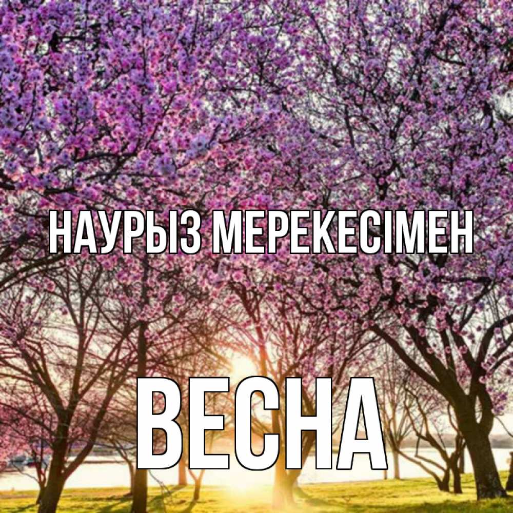 Күн сайын ашық хат с именем, Весна Наурыз мерекесімен праздник весны наурыз Онлайн тегін жүктеп алу тілектері бар керемет карта 