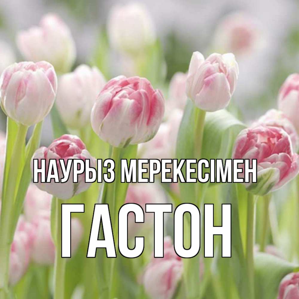 Күн сайын ашық хат с именем, Гастон Наурыз мерекесімен цветы Онлайн тегін жүктеп алу тілектері бар керемет карта 