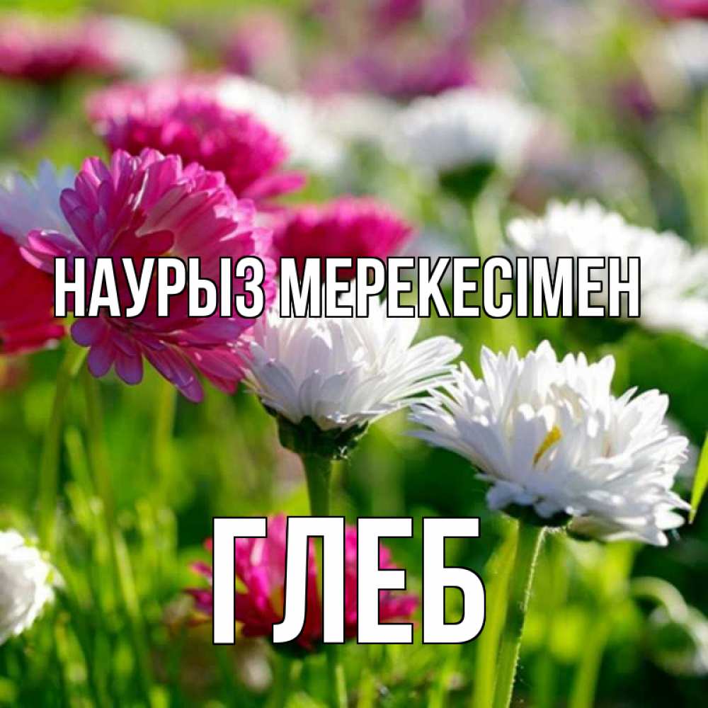 Күн сайын ашық хат с именем, Глеб Наурыз мерекесімен праздник весны наурыз красота Онлайн тегін жүктеп алу тілектері бар керемет карта 