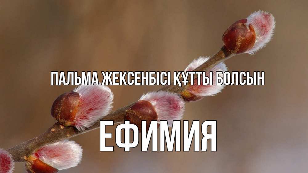 Күн сайын ашық хат с именем, Ефимия Пальма жексенбісі құтты болсын верба Онлайн тегін жүктеп алу тілектері бар керемет карта 
