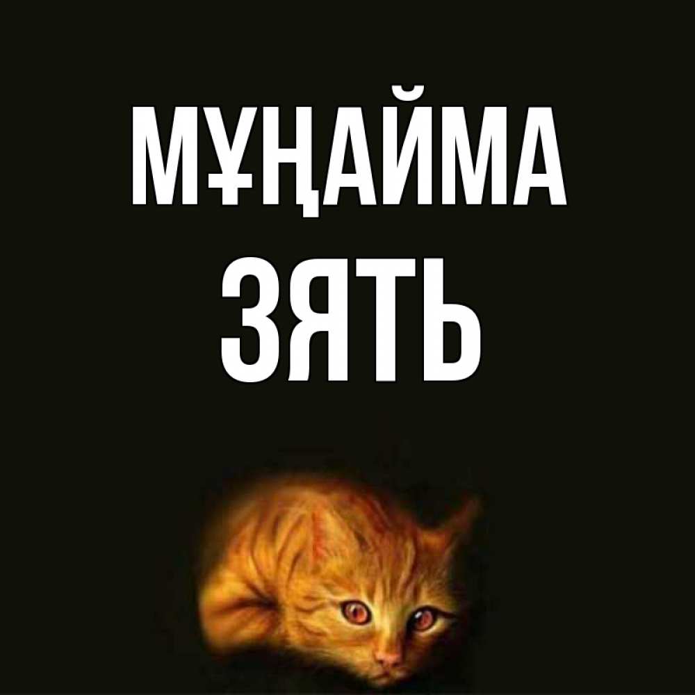 Күн сайын ашық хат с именем, Зять Мұңайма лежащий кот в темноте Онлайн тегін жүктеп алу тілектері бар керемет карта 