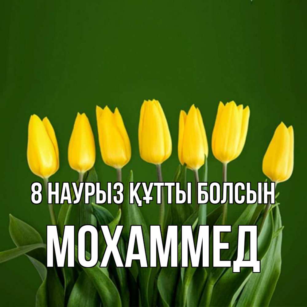 Күн сайын ашық хат с именем, Мохаммед 8 наурыз құтты болсын желтого цвета 3 Онлайн тегін жүктеп алу тілектері бар керемет карта 