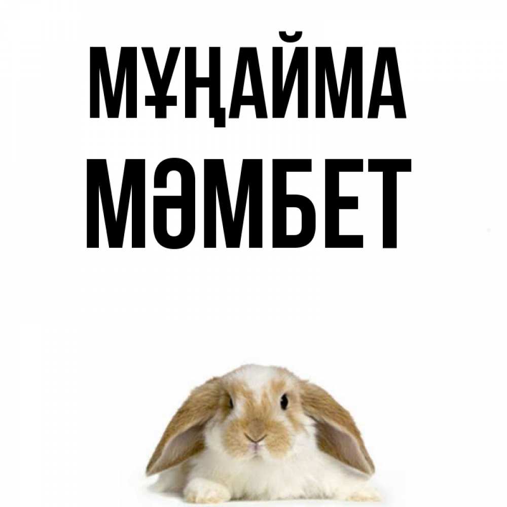 Күн сайын ашық хат с именем, МӘМБЕТ Мұңайма коричнево белый заяц с большими ушками Онлайн тегін жүктеп алу тілектері бар керемет карта 