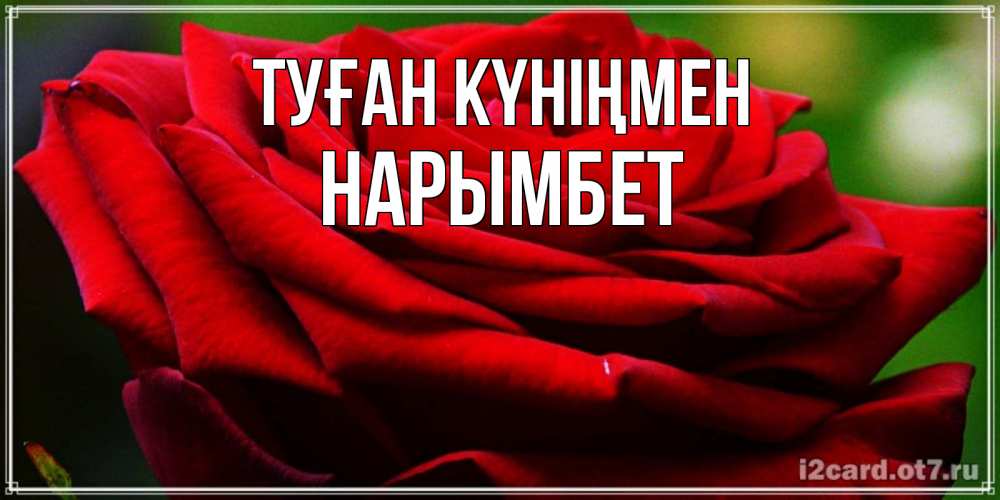Күн сайын ашық хат с именем, Нарымбет Туған күніңмен розочка очень красивая Онлайн тегін жүктеп алу тілектері бар керемет карта 